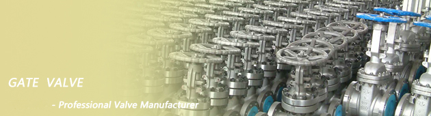 Gate Valve