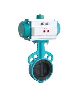 Lining Butterfly Valve
